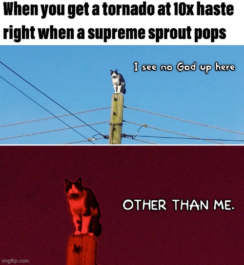 GOD | image tagged in bss | made w/ Imgflip meme maker