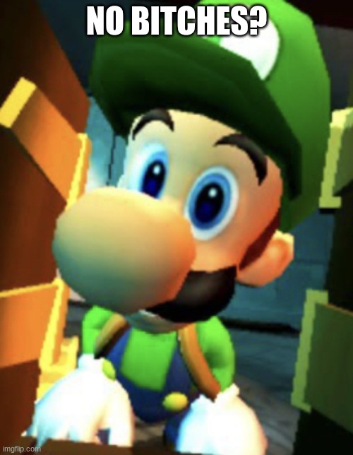 Luigi No B1tches | NO BITCHES? | image tagged in luigi no b1tches | made w/ Imgflip meme maker