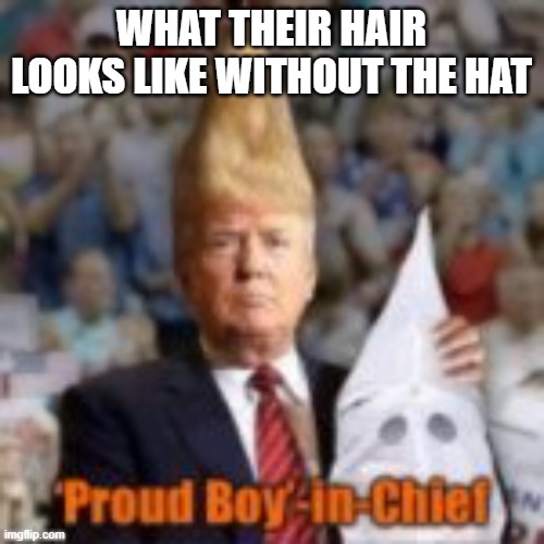 WHAT THEIR HAIR LOOKS LIKE WITHOUT THE HAT | made w/ Imgflip meme maker