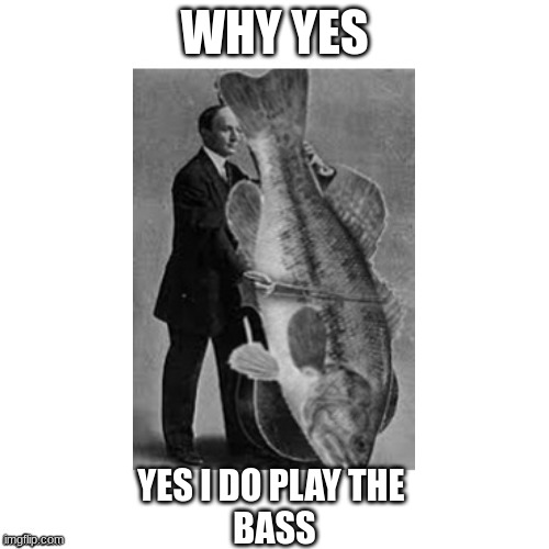 This instrument is fishy | WHY YES; YES I DO PLAY THE 
BASS | image tagged in music,funny | made w/ Imgflip meme maker