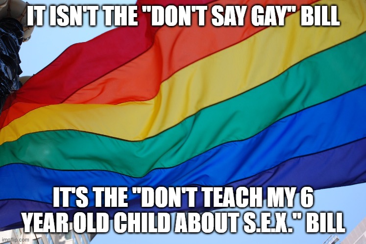 Don't let the Democrats lie to you about what this bill is about. Democrats love to groom our children and we won't let them. | IT ISN'T THE "DON'T SAY GAY" BILL; IT'S THE "DON'T TEACH MY 6 YEAR OLD CHILD ABOUT S.E.X." BILL | image tagged in gay,florida,democrats,pedophiles,perverts | made w/ Imgflip meme maker