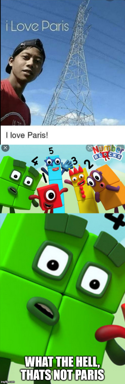 WHAT THE HELL, THATS NOT PARIS | image tagged in what the hell | made w/ Imgflip meme maker