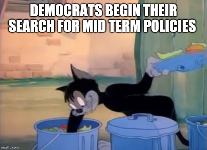 Butch cat garbage picking | DEMOCRATS BEGIN THEIR SEARCH FOR MID TERM POLICIES | image tagged in butch cat garbage picking | made w/ Imgflip meme maker