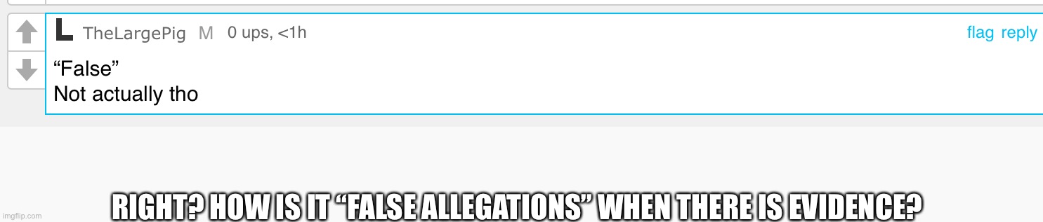 Like…huh? | RIGHT? HOW IS IT “FALSE ALLEGATIONS” WHEN THERE IS EVIDENCE? | made w/ Imgflip meme maker