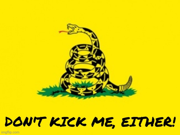 Gadsden Flag | DON'T KICK ME, EITHER! | image tagged in gadsden flag | made w/ Imgflip meme maker
