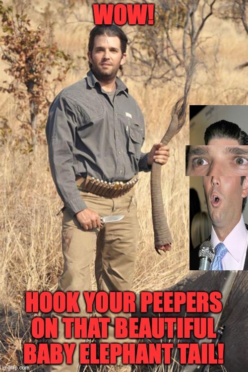 donald trump jr | WOW! HOOK YOUR PEEPERS ON THAT BEAUTIFUL BABY ELEPHANT TAIL! | image tagged in donald trump jr | made w/ Imgflip meme maker