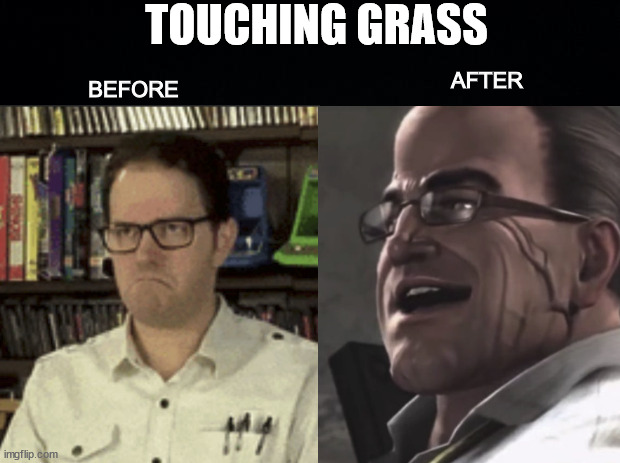 The Effects of Touching Grass | TOUCHING GRASS; BEFORE; AFTER | image tagged in metal gear,avgn,grass | made w/ Imgflip meme maker