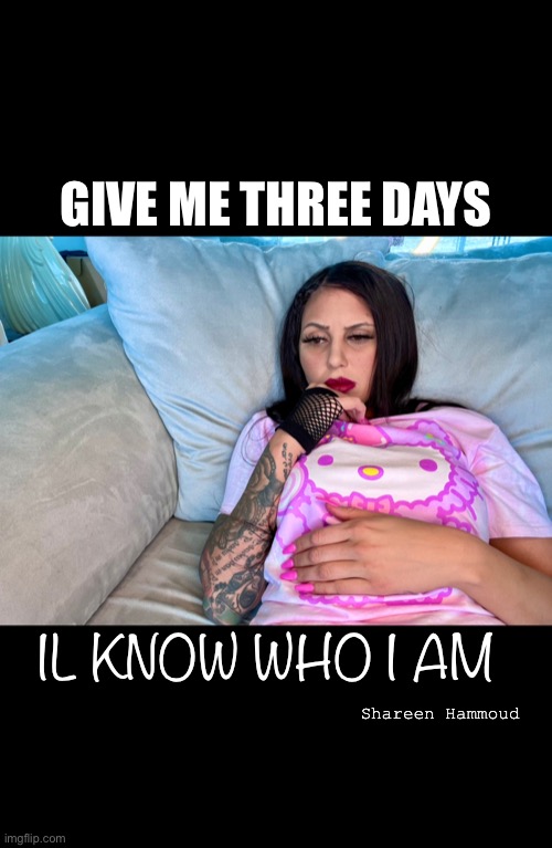 Memory | GIVE ME THREE DAYS; IL KNOW WHO I AM; Shareen Hammoud | image tagged in memoryloss,mental health,abuse,domestic abuse,murder | made w/ Imgflip meme maker