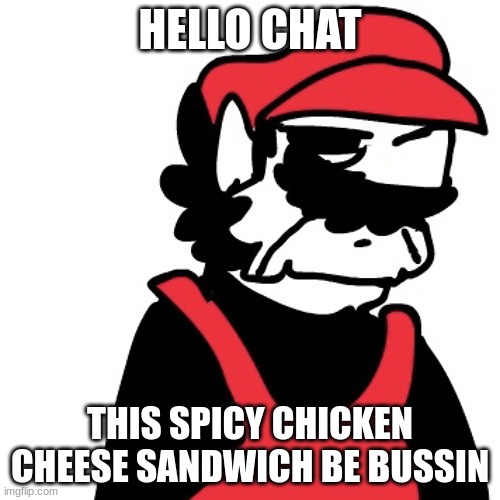 Dissapointed MX | HELLO CHAT; THIS SPICY CHICKEN CHEESE SANDWICH BE BUSSIN | image tagged in dissapointed mx | made w/ Imgflip meme maker