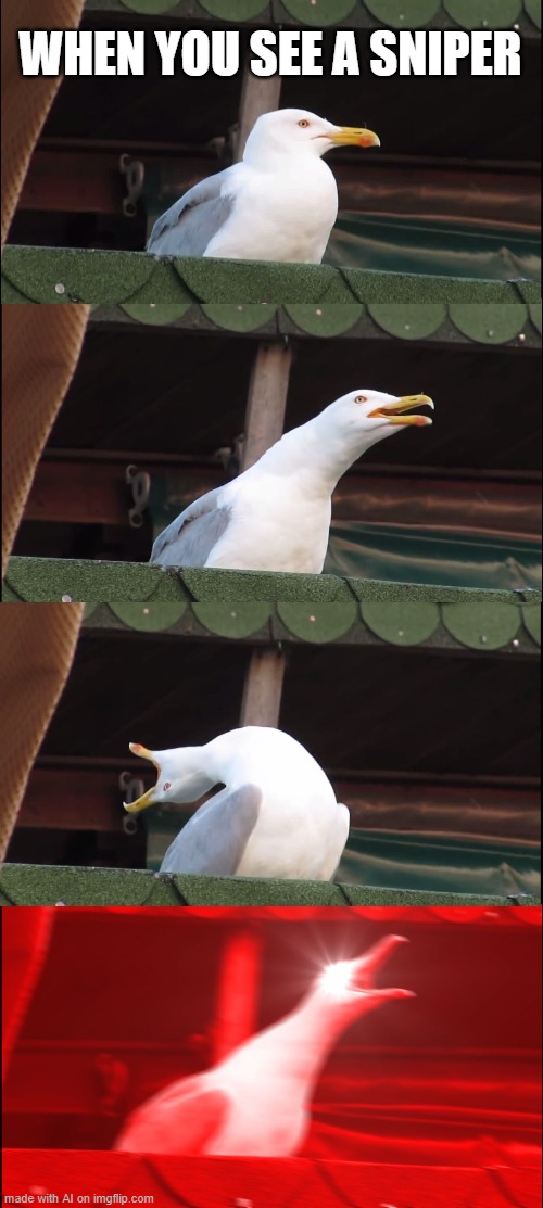 Inhaling Seagull | WHEN YOU SEE A SNIPER | image tagged in memes,inhaling seagull | made w/ Imgflip meme maker