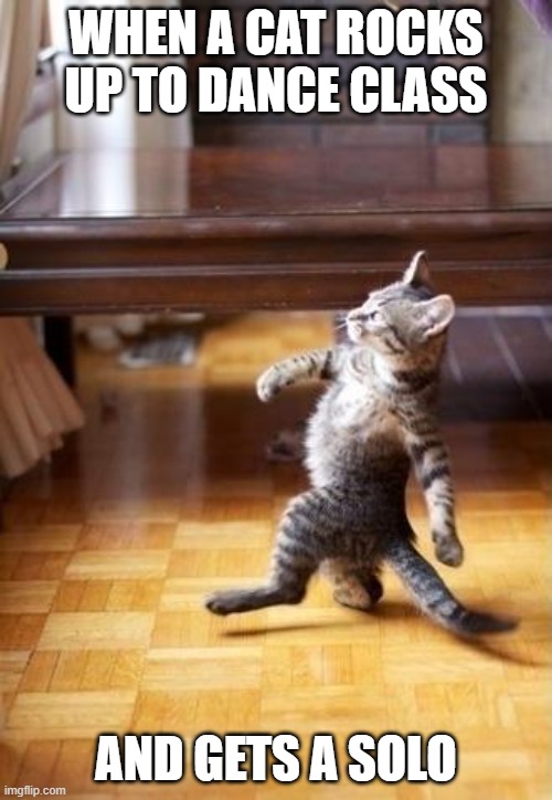 Cool Cat Stroll Meme | WHEN A CAT ROCKS UP TO DANCE CLASS; AND GETS A SOLO | image tagged in memes,cool cat stroll | made w/ Imgflip meme maker