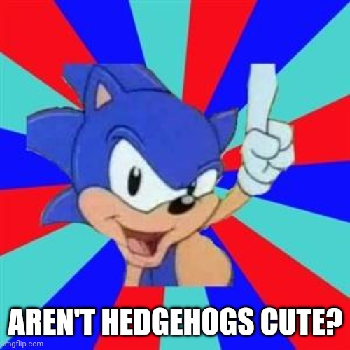 Sonic sez | AREN'T HEDGEHOGS CUTE? | image tagged in sonic sez | made w/ Imgflip meme maker