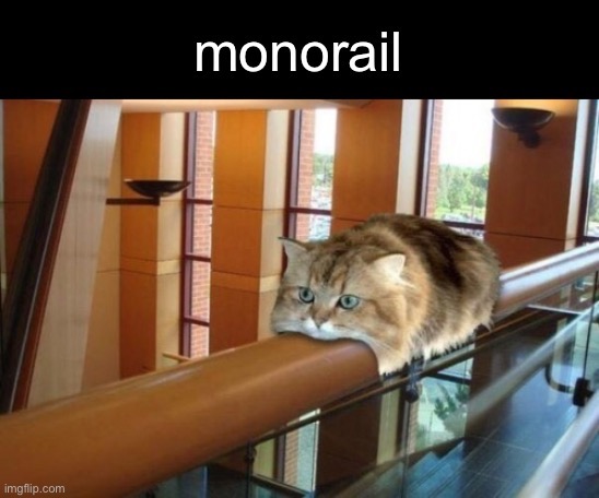Reminds me of Disneyland | image tagged in funny memes,funny cat memes | made w/ Imgflip meme maker