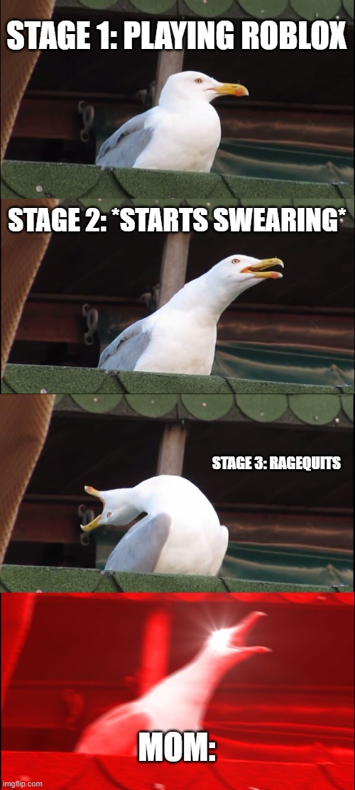 Inhaling Seagull | STAGE 1: PLAYING ROBLOX; STAGE 2: *STARTS SWEARING*; STAGE 3: RAGEQUITS; MOM: | image tagged in memes,inhaling seagull | made w/ Imgflip meme maker