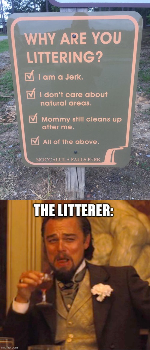 Who needs a trash can? The world is my trash can | THE LITTERER: | image tagged in memes,laughing leo,funny,funny signs,oh wow are you actually reading these tags | made w/ Imgflip meme maker