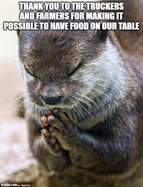 just a shout out to our farmers and truckers who browse Imgflip | THANK YOU TO THE TRUCKERS AND FARMERS FOR MAKING IT POSSIBLE TO HAVE FOOD ON OUR TABLE | image tagged in thank you lord otter | made w/ Imgflip meme maker