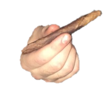 Hand with boof Blank Meme Template