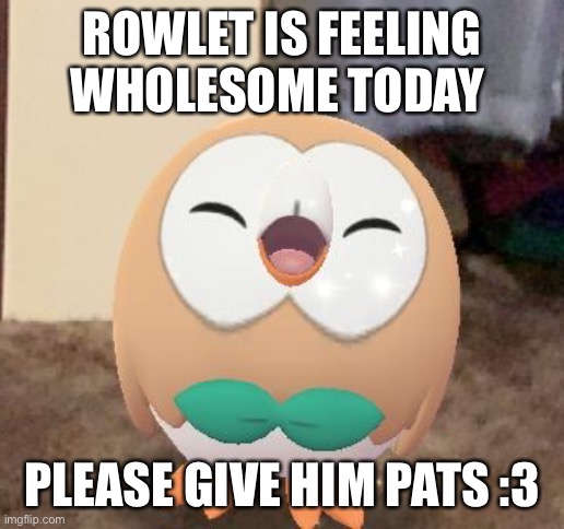 *pat* | ROWLET IS FEELING WHOLESOME TODAY; PLEASE GIVE HIM PATS :3 | image tagged in happy rowlet | made w/ Imgflip meme maker