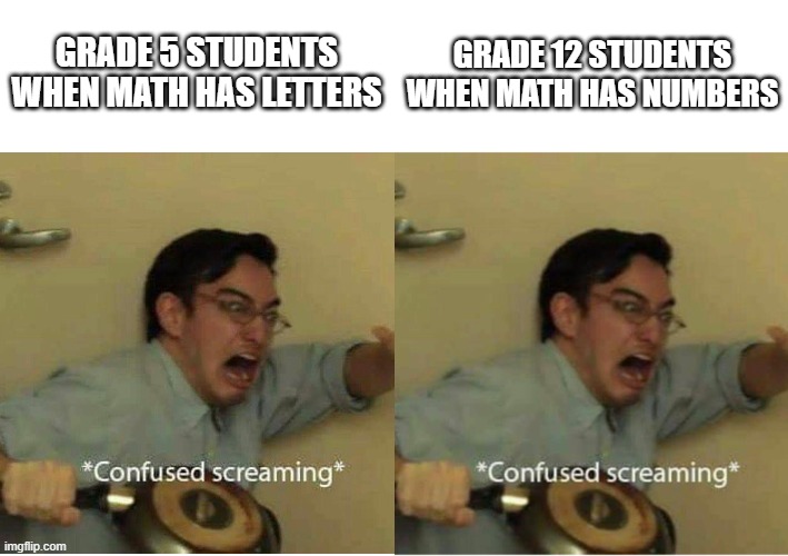 tfw math | GRADE 5 STUDENTS WHEN MATH HAS LETTERS; GRADE 12 STUDENTS WHEN MATH HAS NUMBERS | image tagged in confused screaming | made w/ Imgflip meme maker