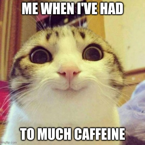 Smiling Cat Meme | ME WHEN I'VE HAD; TO MUCH CAFFEINE | image tagged in memes,smiling cat | made w/ Imgflip meme maker