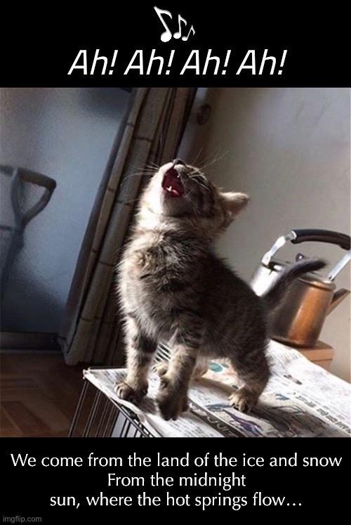 Kitty Needed to Get the Led Out | Ah! Ah! Ah! Ah! We come from the land of the ice and snow
From the midnight sun, where the hot springs flow… | image tagged in funny memes,funny cat memes,led zeppelin | made w/ Imgflip meme maker