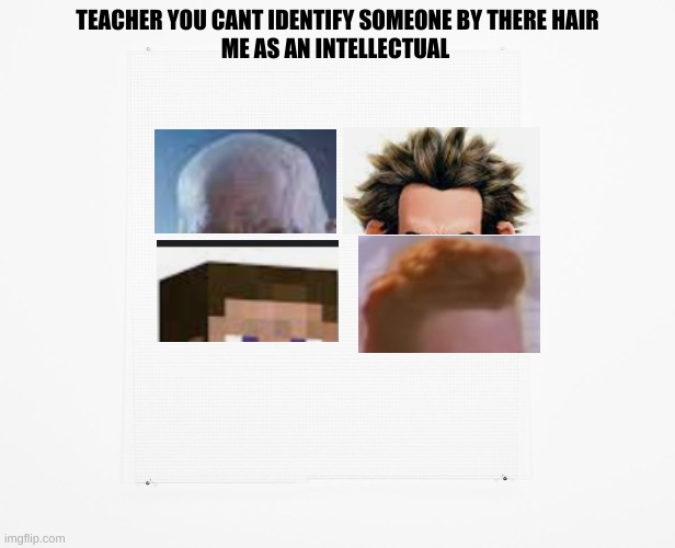 Blank | TEACHER YOU CANT IDENTIFY SOMEONE BY THERE HAIR
ME AS AN INTELLECTUAL | image tagged in blank | made w/ Imgflip meme maker