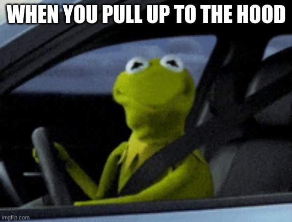 WHEN YOU PULL UP TO THE HOOD | made w/ Imgflip meme maker