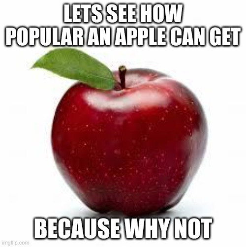 e | LETS SEE HOW POPULAR AN APPLE CAN GET; BECAUSE WHY NOT | made w/ Imgflip meme maker