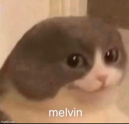 Melvin | image tagged in melvin,mellvin,malvin,melven,melving | made w/ Imgflip meme maker