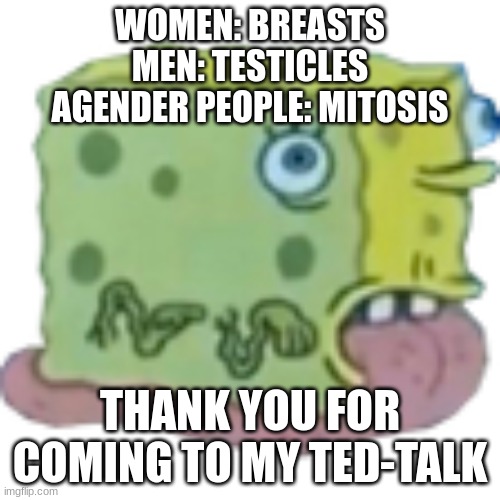 Asoingbob Snal | WOMEN: BREASTS
MEN: TESTICLES
AGENDER PEOPLE: MITOSIS; THANK YOU FOR COMING TO MY TED-TALK | image tagged in asoingbob snal | made w/ Imgflip meme maker