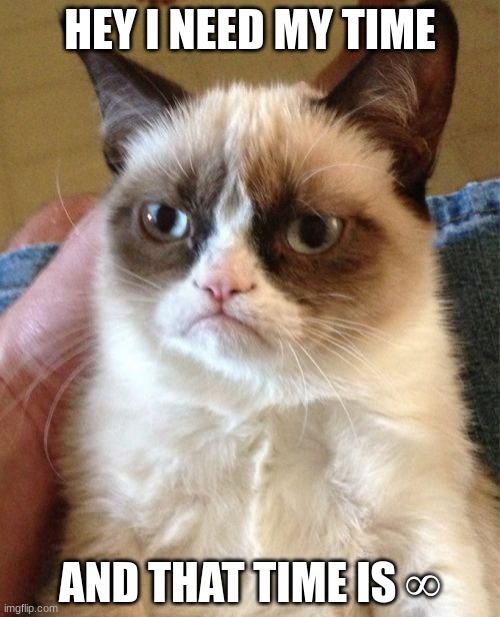 Grumpy Cat | HEY I NEED MY TIME; AND THAT TIME IS ∞ | image tagged in memes,grumpy cat | made w/ Imgflip meme maker