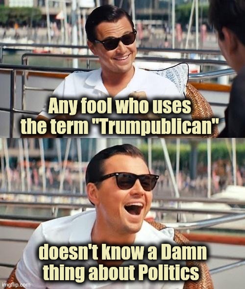 It's the Paranoid schizophrenia associated with your TDS | Any fool who uses the term "Trumpublican"; doesn't know a Damn thing about Politics | image tagged in memes,politicians suck,all of them,democrats,republicans,suck | made w/ Imgflip meme maker