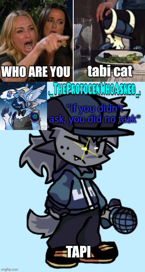 WHO ARE YOU tabi cat TAPI | image tagged in angry lady cat,theprotogenwhoasked tapi announcement temp | made w/ Imgflip meme maker