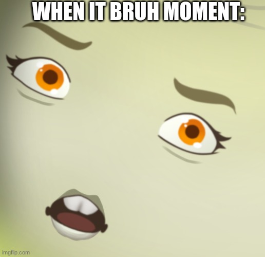 When It Bruh Moment: | WHEN IT BRUH MOMENT: | image tagged in bruh moment | made w/ Imgflip meme maker