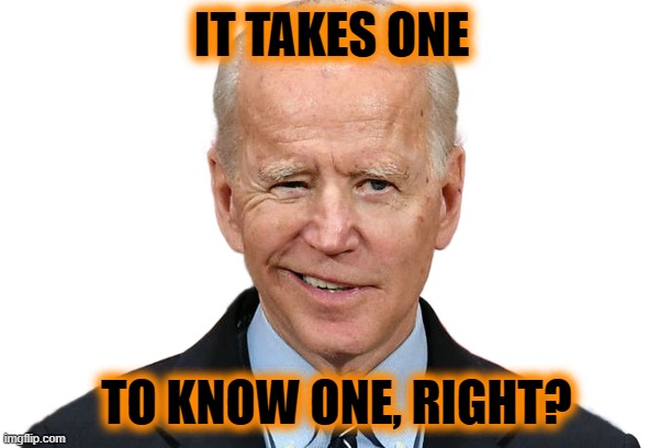 Goofy Biden | IT TAKES ONE TO KNOW ONE, RIGHT? | image tagged in goofy biden | made w/ Imgflip meme maker