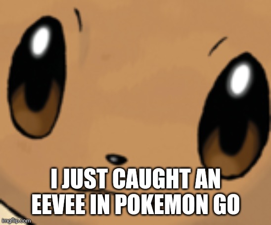 Yey | I JUST CAUGHT AN EEVEE IN POKEMON GO | image tagged in eevee face | made w/ Imgflip meme maker