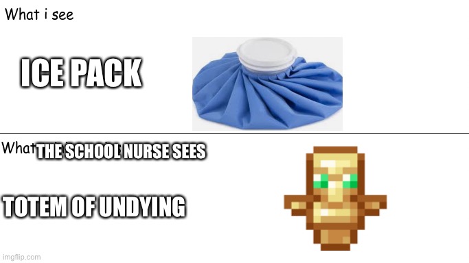 What i see | ICE PACK; THE SCHOOL NURSE SEES; TOTEM OF UNDYING | image tagged in what i see | made w/ Imgflip meme maker