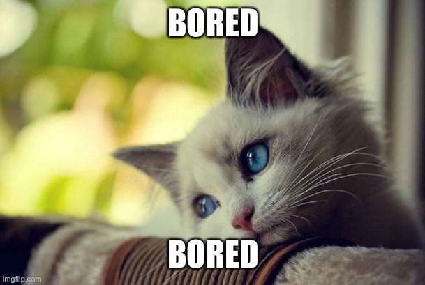 Meow | BORED; BORED | image tagged in memes,first world problems cat | made w/ Imgflip meme maker