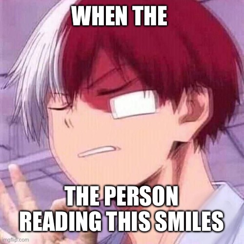 It hits just right | WHEN THE; THE PERSON READING THIS SMILES | image tagged in todoroki,wholesome | made w/ Imgflip meme maker