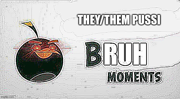 B R U H WHERES THE GUD STUF | THEY/THEM PUSSI | image tagged in when stuff crust | made w/ Imgflip meme maker