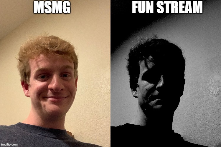 TheLargePig becoming slightly uncanny | MSMG; FUN STREAM | image tagged in thelargepig becoming slightly uncanny | made w/ Imgflip meme maker