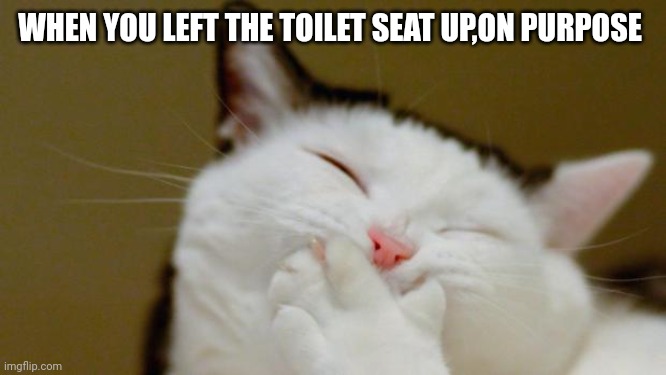 Laughing Cat | WHEN YOU LEFT THE TOILET SEAT UP,ON PURPOSE | image tagged in laughing cat | made w/ Imgflip meme maker