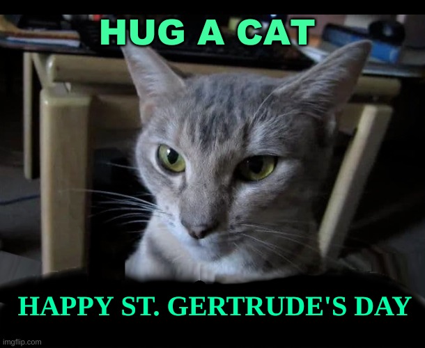 Patron Saint of Cats / St. Gertrude | HUG A CAT; HAPPY ST. GERTRUDE'S DAY | image tagged in cats,celebrate,i love you,i love cats,what if i told you,the most interesting cat in the world | made w/ Imgflip meme maker