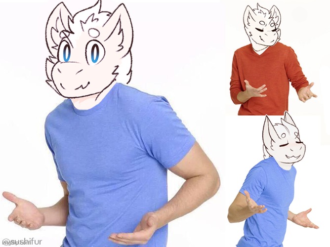 Fluffy dragon: IDK | image tagged in fluffy dragon idk | made w/ Imgflip meme maker