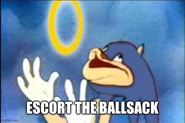 Sonic derp | ESCORT THE BALLSACK | image tagged in sonic derp | made w/ Imgflip meme maker