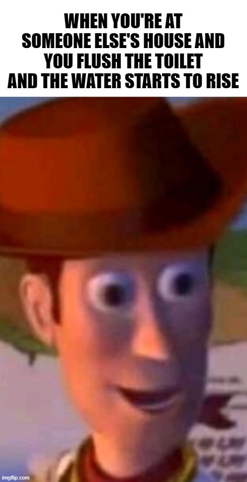 oh shit woody | WHEN YOU'RE AT SOMEONE ELSE'S HOUSE AND YOU FLUSH THE TOILET AND THE WATER STARTS TO RISE | image tagged in oh shit woody,memes,funny memes | made w/ Imgflip meme maker