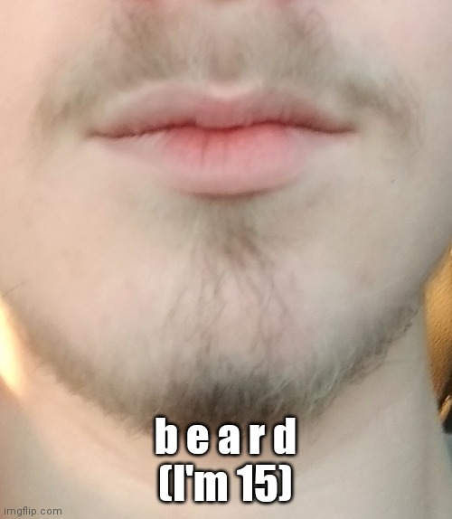It looks so shitty on camera | b e a r d
(I'm 15) | made w/ Imgflip meme maker
