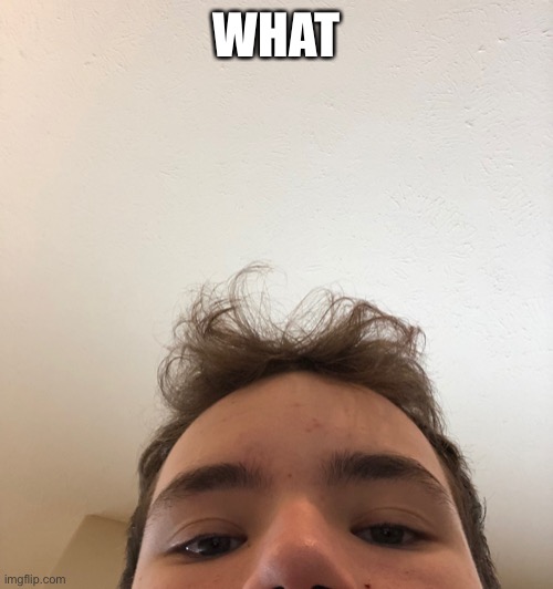 WHAT | made w/ Imgflip meme maker