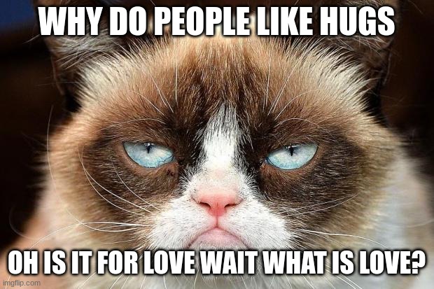 Grumpy Cat Not Amused Meme | WHY DO PEOPLE LIKE HUGS; OH IS IT FOR LOVE WAIT WHAT IS LOVE? | image tagged in memes,grumpy cat not amused,grumpy cat | made w/ Imgflip meme maker