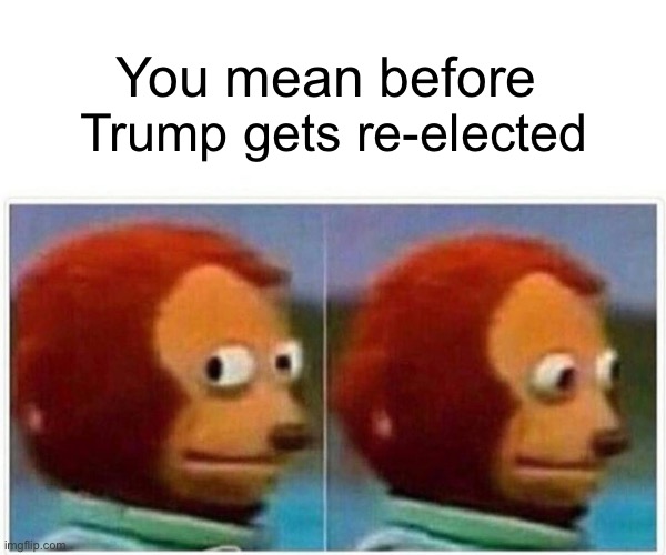 Monkey Puppet Meme | You mean before Trump gets re-elected | image tagged in memes,monkey puppet | made w/ Imgflip meme maker